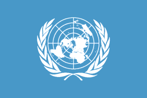 Organisation des Nations Unies