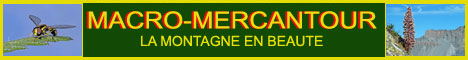accs au site macro-mercantour.fr de Ren Lombard