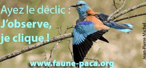action protection biodiversit PACA