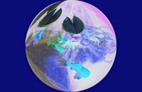 Galerie de photos insolites