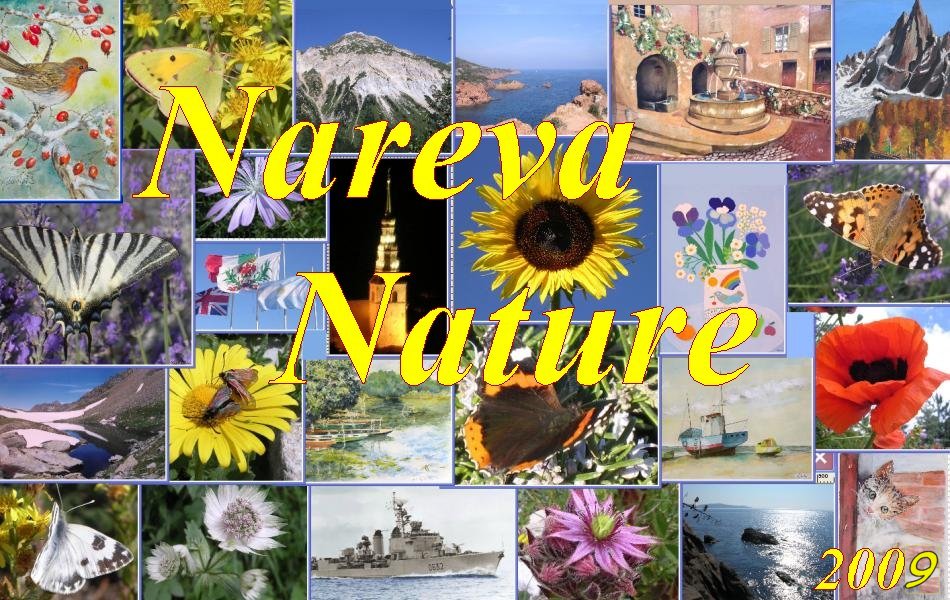 Cliquez sur l'image pour entrer sur le site NAREVA NATURE