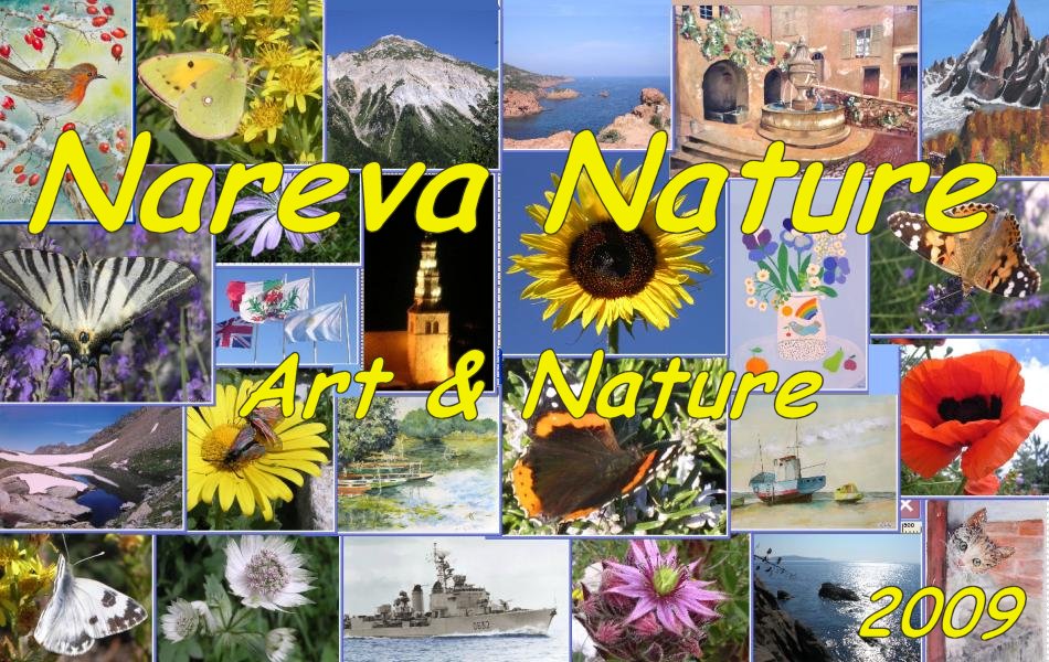 Cliquez sur l'image pour entrer sur le site NAREVA NATURE