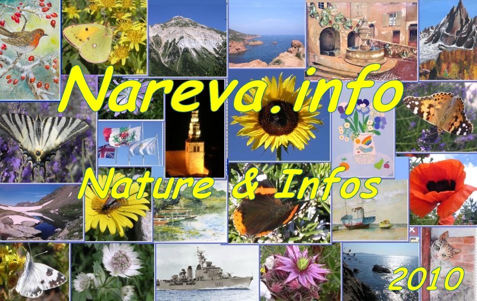 Click on this image to enter NAREVA NATURE web site