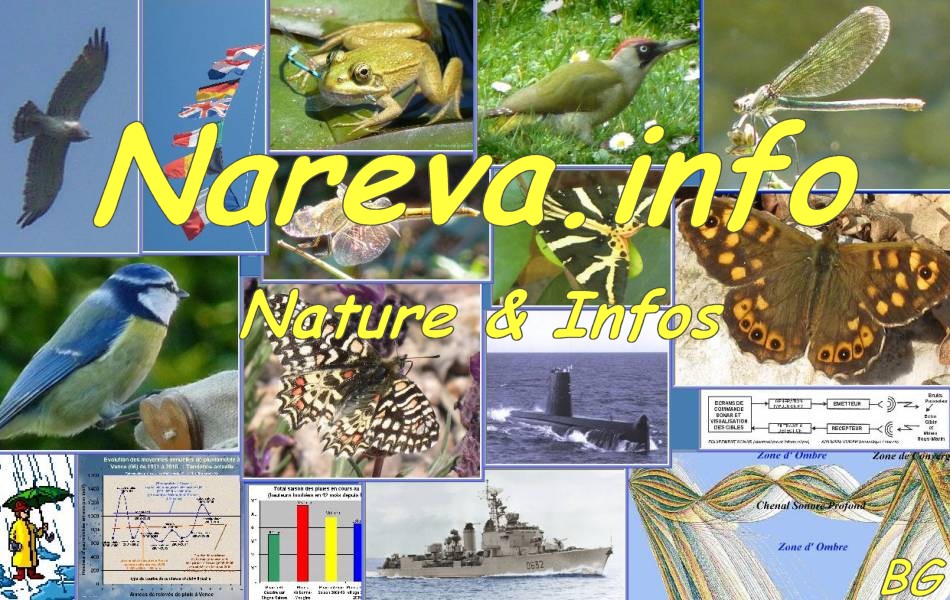 Click on this image to enter NAREVA NATURE web site